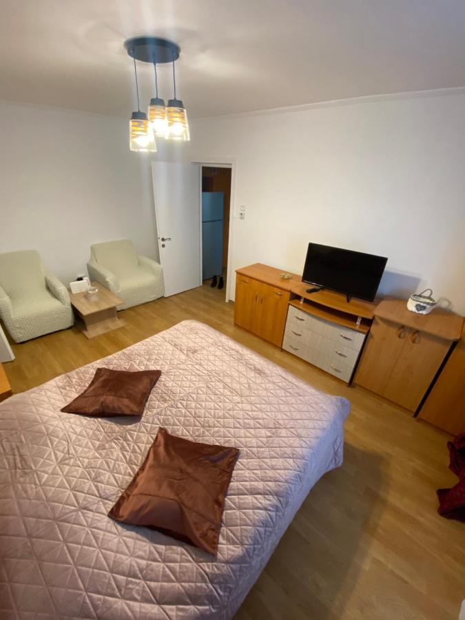 Central Park Studio Piatra Neamţ Buitenkant foto